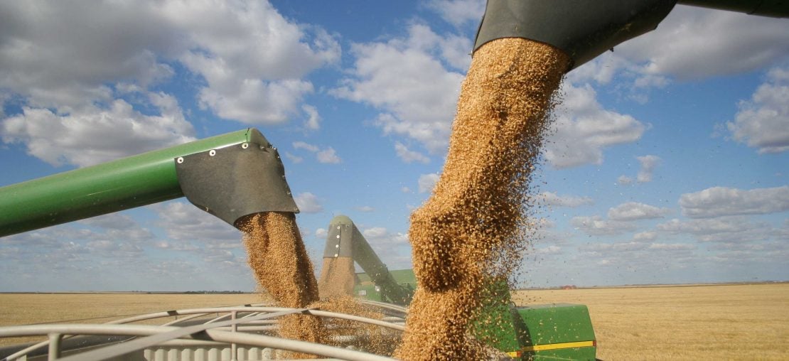 Conheça os principais desafios da logística no agronegócio!