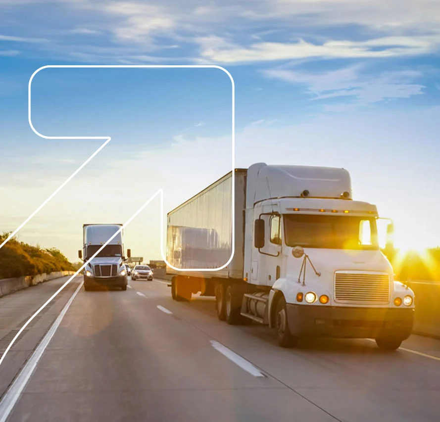 O que você vai encontrar no manual: