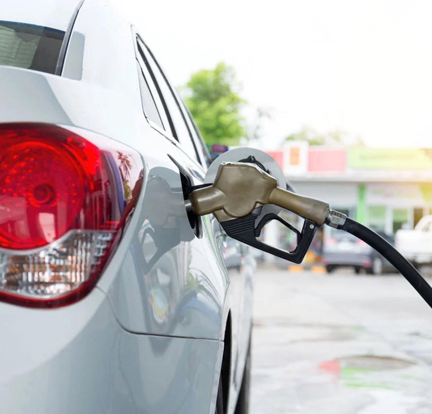 Olha o que você irá encontrar em nosso infográfico: